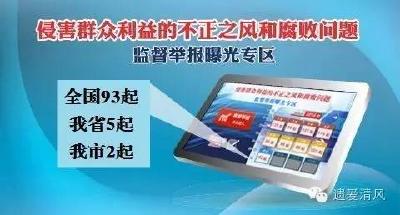 中纪委网站通报93起侵害群众利益的不正之风和腐败问题  其中黄冈2起