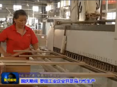 视频| 罗田工业企业开足马力忙生产