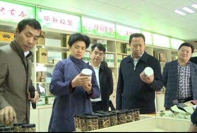 省委常委统战部长梁惠玲在英山调研
