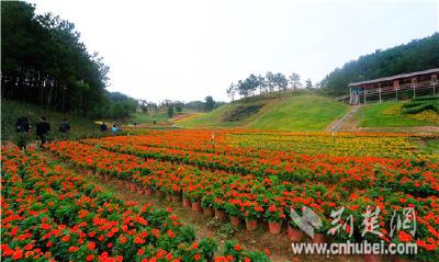 麻城：让红色热土富起来