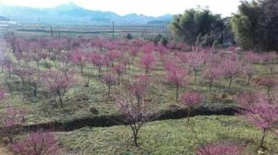视频|蕲春：文化小镇建设日新月异