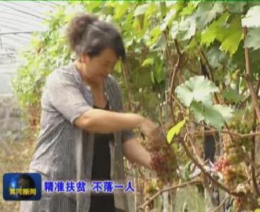 视频|麻城：依托红色热土脱贫 打造乡村旅游致富