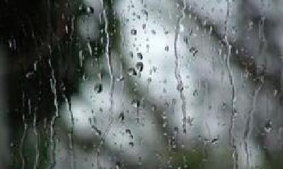 寒风冷雨容易生病 专家推荐几款保健足浴方