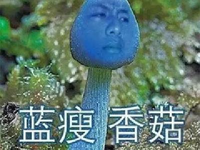 “蓝瘦香菇”被抢注：深圳实业成立 注册资本50万