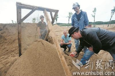  罗田举办华中最大沙雕大赛