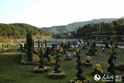 麻城：五脑山仙美景在 8万游蜂踊来