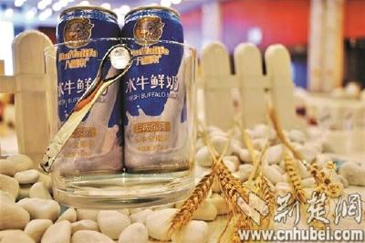 “奶中之王”水牛奶现身华农 价格是普通牛奶的3倍