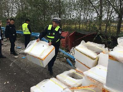 湖北运鱼货车高速侧翻村民捡走河豚，警方寻回10条集中销毁
