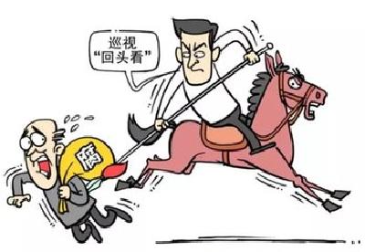 十八届中央第十轮巡视已公布4省市巡视