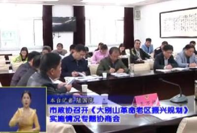 视频|市政协召开《大别山革命老区振兴规划》实施情况专题协商会