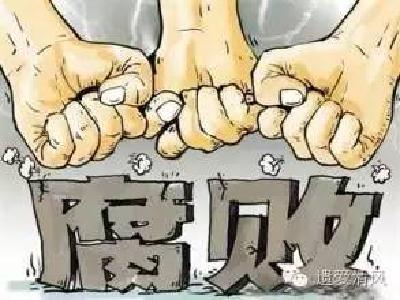 浠水：开展基层“小六长”腐败问题专项整治   查处53人