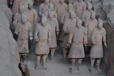 考古最新发现！秦始皇陵里有个“动物世界”