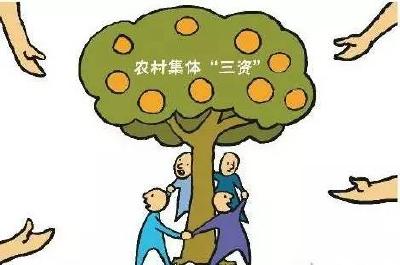红安：加强“三资”清理 为村级集体经济发展聚力