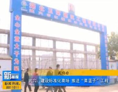 视频|武穴：建设标准化菜场 推进“菜篮子”工程