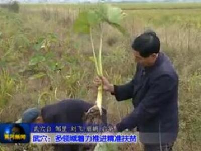 视频|武穴：多领域着力推进精准扶贫
