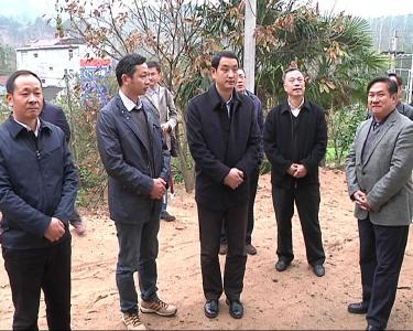 刘海军到麻城开展专题调研督导