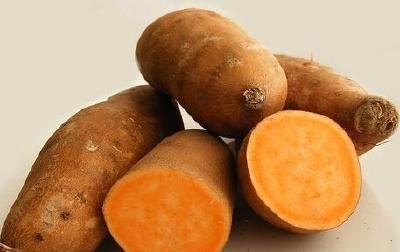 全国最大甘薯试验基地花落红安 一斤最高卖至160元
