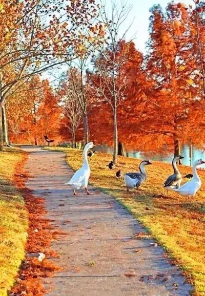 【荐读】命运靠自己转弯！