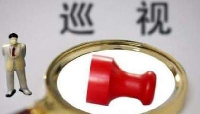 蒋超良：提高巡视工作政治站位 落实全面从严治党要求