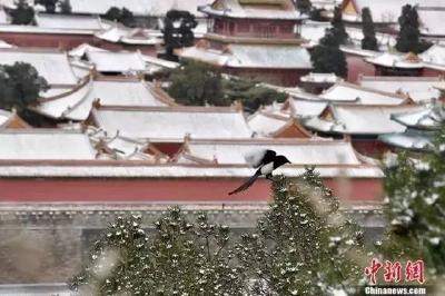 中国开启“速冻模式” ！这股寒潮究竟哪来的？(图)