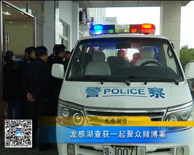 视频｜龙感湖查获一起聚众赌博案                         