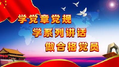 麻城精准发力推动“两学一做”落在实处