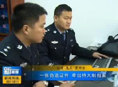 视频|一张伪造证件 牵出特大制假案
