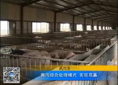 视频|武穴：粪污综合处理模式 实现双赢