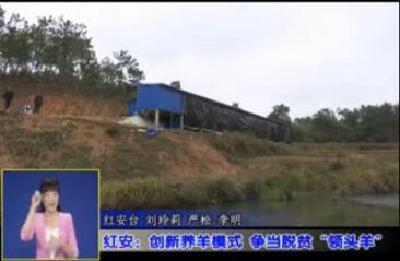 视频|红安：擦亮“将军故里 传奇红安”名片