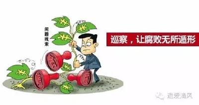 团风：建立“五项机制”进一步推动巡察工作