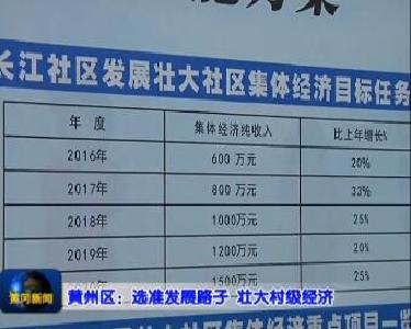 视频|黄州区：选准发展路子 发展壮大村级经济