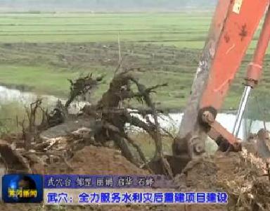 视频|武穴：全力服务水利灾后重建项目建设