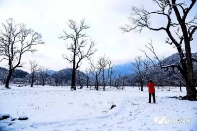 大美罗田：爱一场雪，恋一季冬，留一个梦