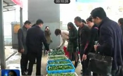 我市督办市人大代表建议办理工作