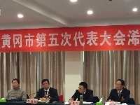 黄冈市第五次党代会各代表团分组讨论两个《报告》