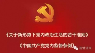 提高巡视政治站位 推进全面从严治党