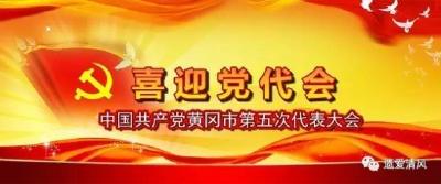 【喜迎党代会】审议通过《关于召开中国共产党黄冈市第五次代表大会的决议》