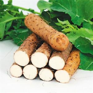 山药：食中之药，食之有道