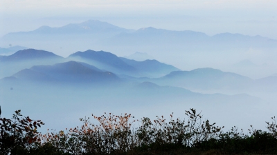 大别山上再树旗 ——我市精准扶贫两年回眸