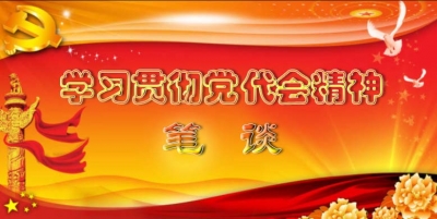 党代表日记 振奋人心的市委工作报告