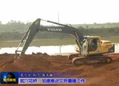 视频|武穴花桥镇：建设防洪堤 加速推进灾后重建工作