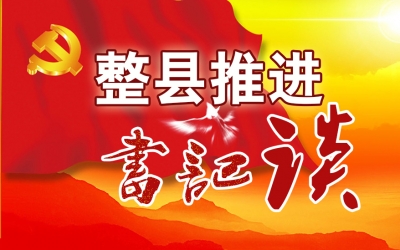 麻城市盐田河镇党委书记范成华：“六部曲”奏响基层党建最强音