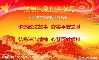 市、县两级法院主动征求人大代表、政协委员意见
