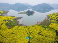 2016影像盘点：最震撼湖北都在这儿