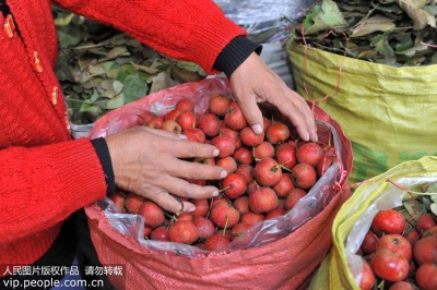 你知道吗？常吃山楂可以减肥减脂