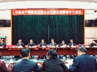 黄冈市第五次党代会各代表团分组讨论两个《报告》