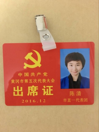 党代表日记·陈清                                 振奋人心的市委工作报告