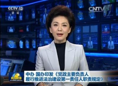 中办国办印发规定：党政主要负责人为推进法治建设第一责任人