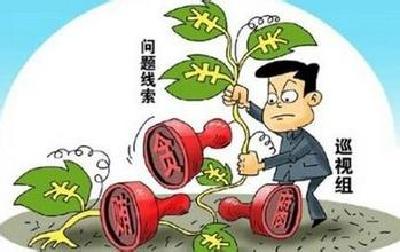 中央第十轮巡视公布三家部门和地区整改情况