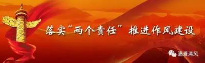 黄州：坚持延伸再延伸 坚决把“两个责任”压实到最基层
